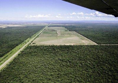 Piden que intervenga el Defensor de la Naci�n por los desmontes en Salta