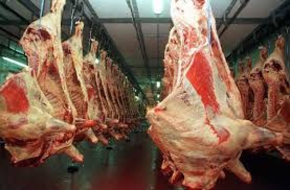 �En las �ltimas semanas, no ha variado el precio de la carne�
