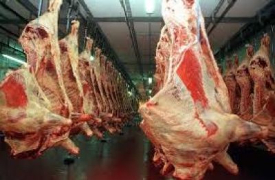 �En las �ltimas semanas, no ha variado el precio de la carne�