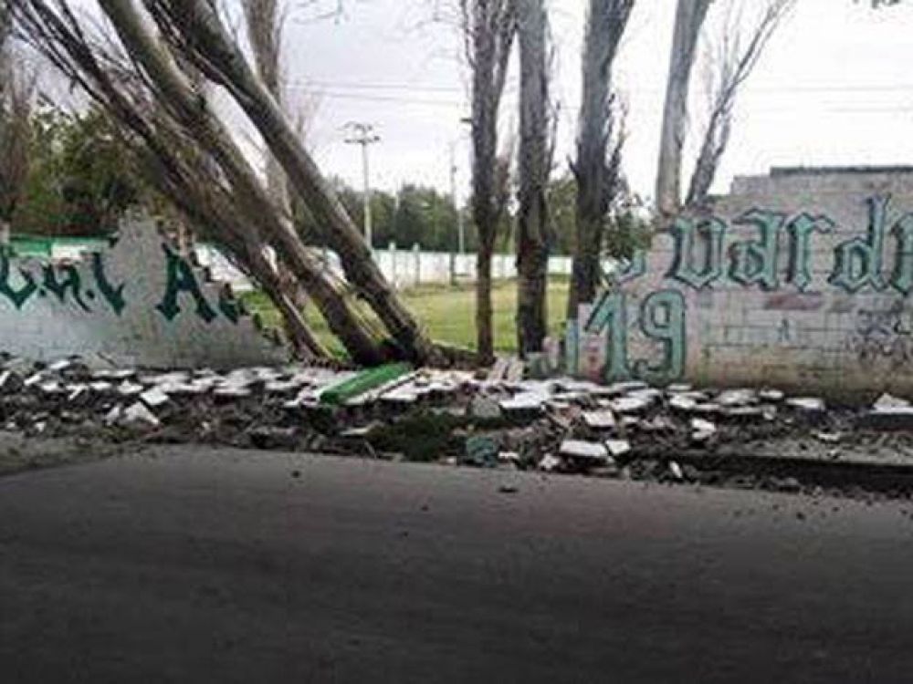 El viento tir� tres �rboles y provoc� la ca�da de una pared del club Sportivo