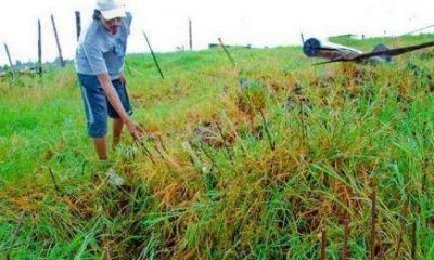 Fue encontrado en un pozo con un hierro clavado en la cabeza