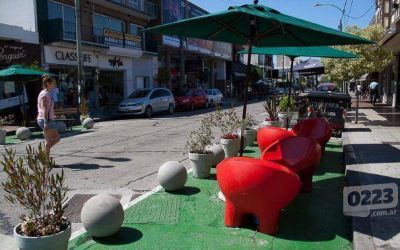 Intervenciones urban�sticas en G�emes: Bonifatti deber� dar explicaciones en el HCD
