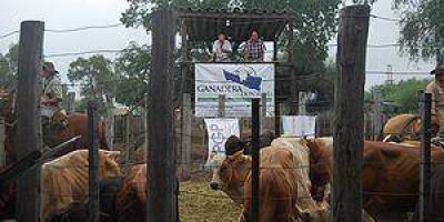 Formosa se destaca entre sus pares del NEA por la ayuda a sus productores