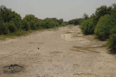 Atuel: en Mendoza afirman que �es prioritario modificar el sistema de riego�