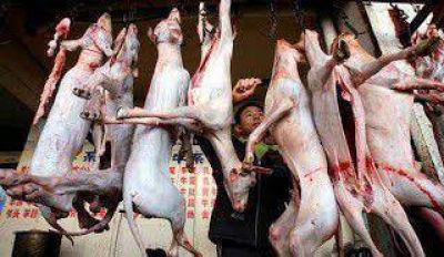 En el barrio le temen al coreano que vend�a carne de perro