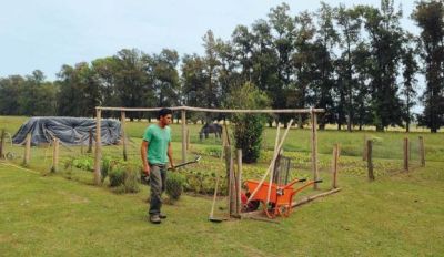 Destinan 1,8 millones a peque�os productores marplatenses