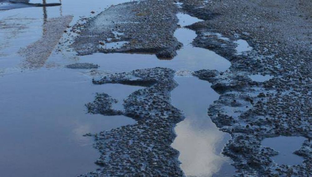 Despu�s de la lluvia, florecieron los baches