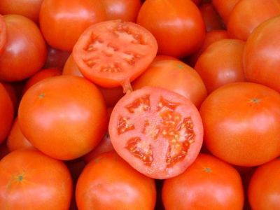 Por las lluvias se perdi� entre un 60 y 80% de la producci�n de tomate