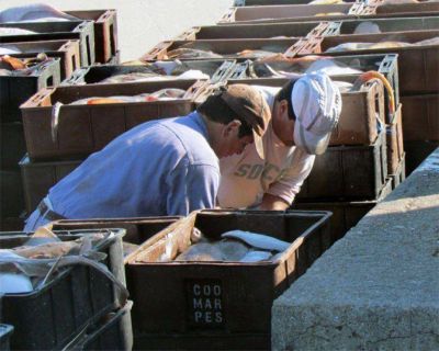 C�maras empresarias piden que la estiba y el Consorcio revean aumentos