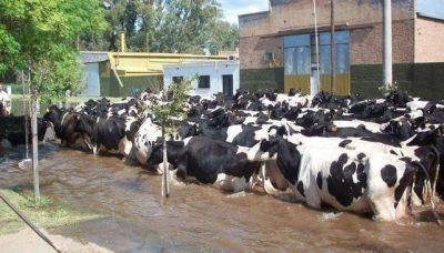 La situaci�n en Bell Ville es cr�tica y se espera otra crecida