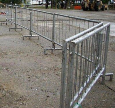 Carnavales en Trenque Lauquen: pedido de la C�mara de Comercio
