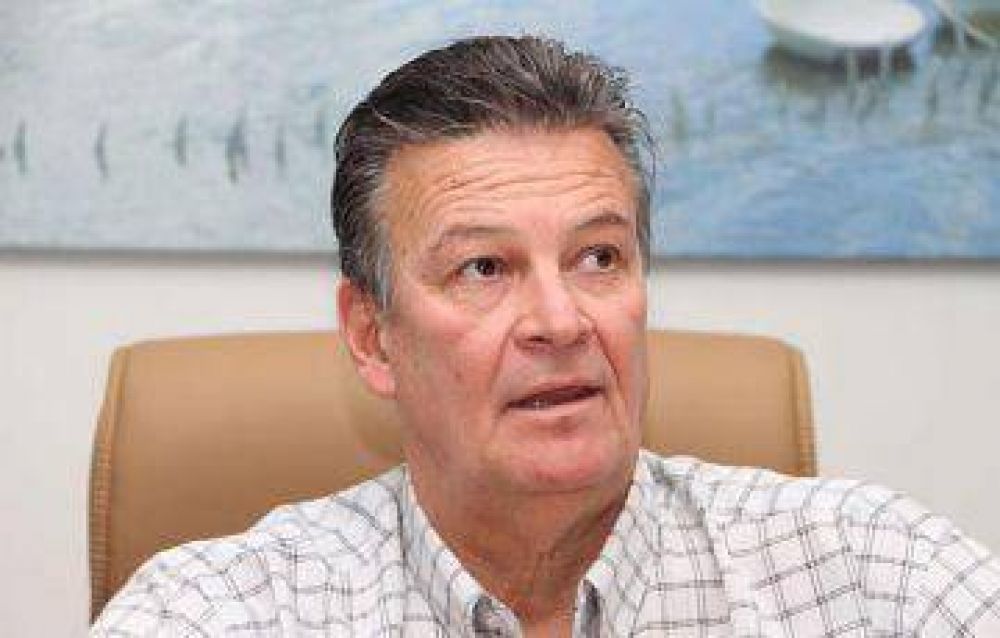 Cotichelli dice que la quita de subsidios que plantea la Naci�n no alcanzar�a a nuestra regi�n
