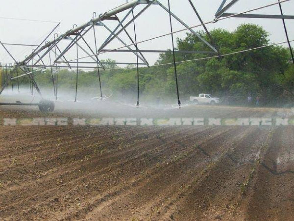 Chaco marca el camino en la produccin de hortalizas pesadas