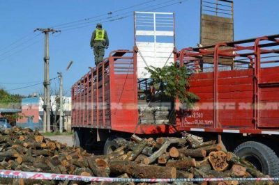 Cae jefe narco que distribu�a droga en seis provincias argentinas