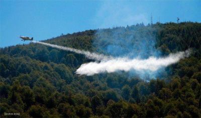 Nueve incendios forestales en un d�a