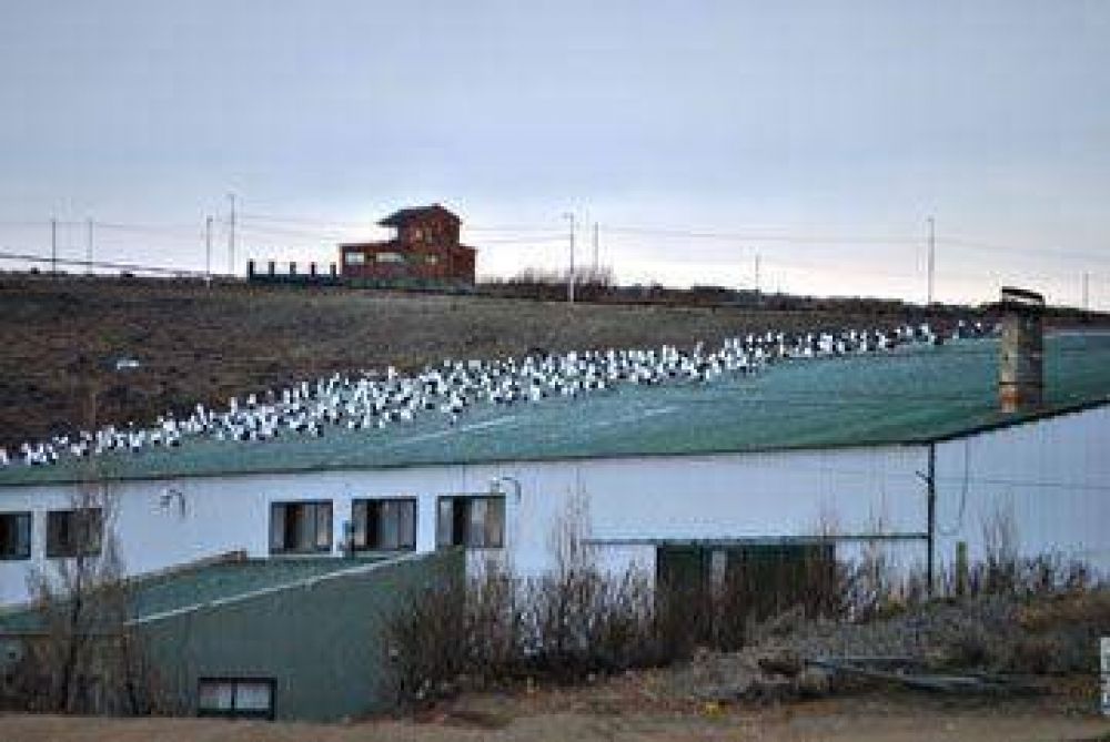 Justicia destrab� la obra del nuevo basural de El Calafate