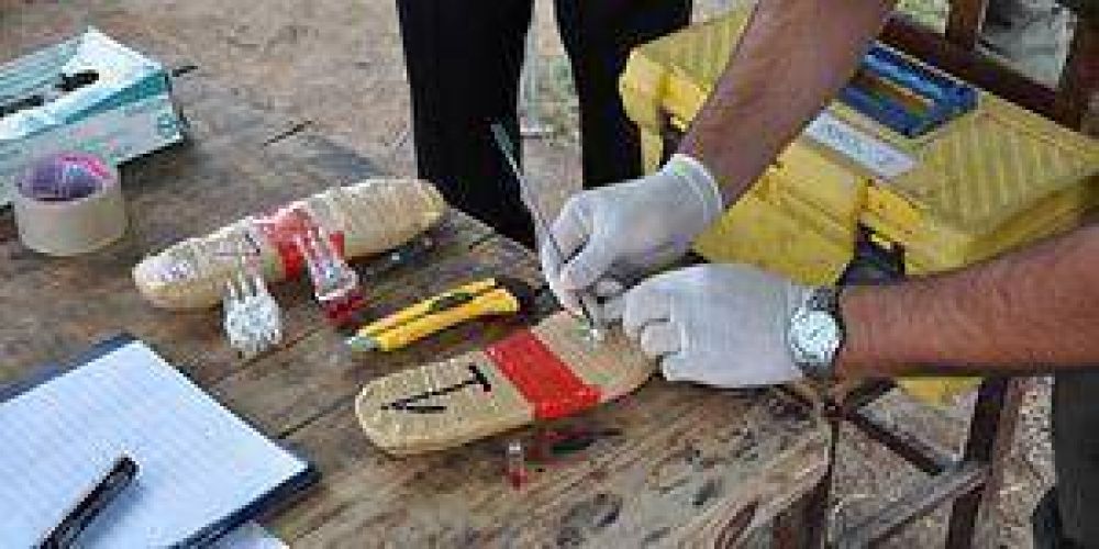 Cay� en Corrientes un narco que mandaba droga a Mendoza