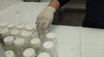 Hasta los dos a�os el mejor alimento es la leche materna