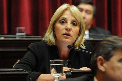 Liliana Fellner apoya la sanci�n de una ley de convivencia urbana