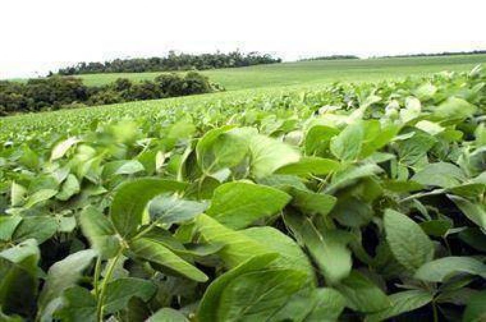 Riesgo para la producci�n de soja en el Departamento