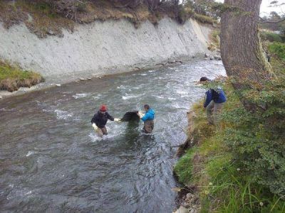 Comienzan las tareas de limpieza en el r�o Pipo por el saneamiento hidroambiental de Ushuaia