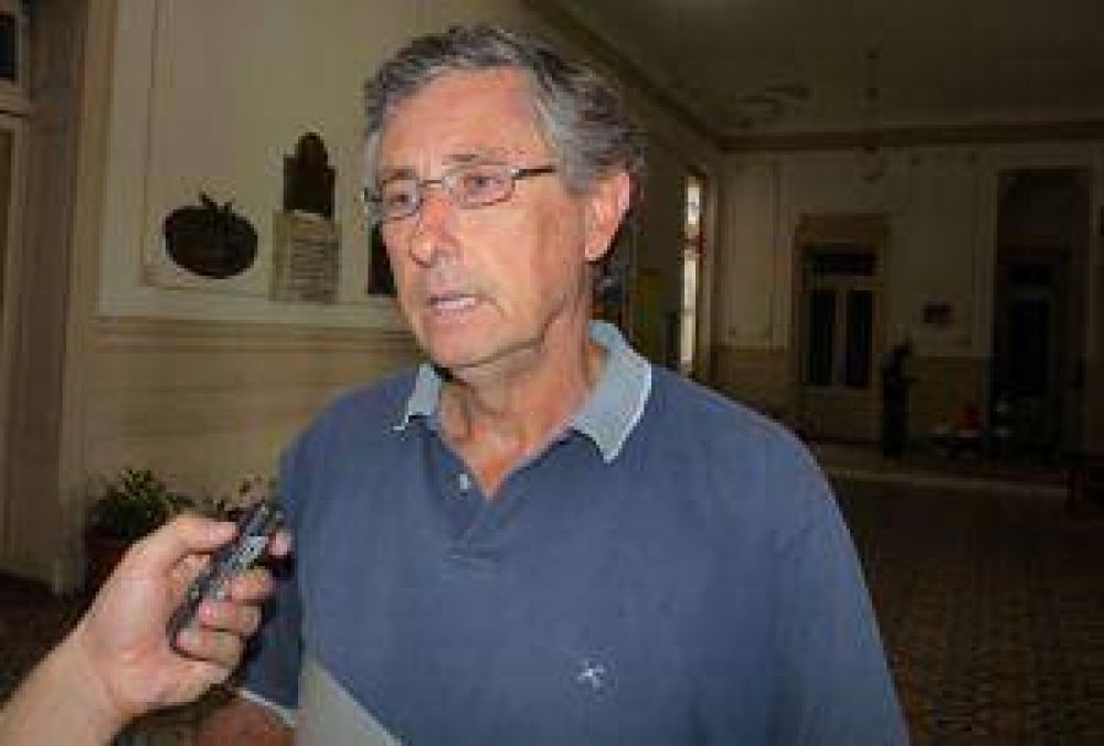 Encontraron larvas de Aedes Aegypti en dos larvitrampas