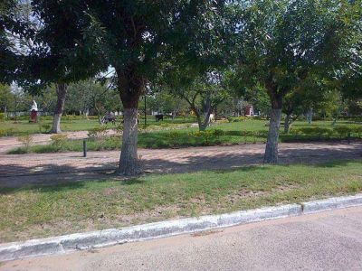  En Concepci�n los estudiantes de la t�cnicatura agropecuaria realizan pr�ctica en la plaza del pueblo