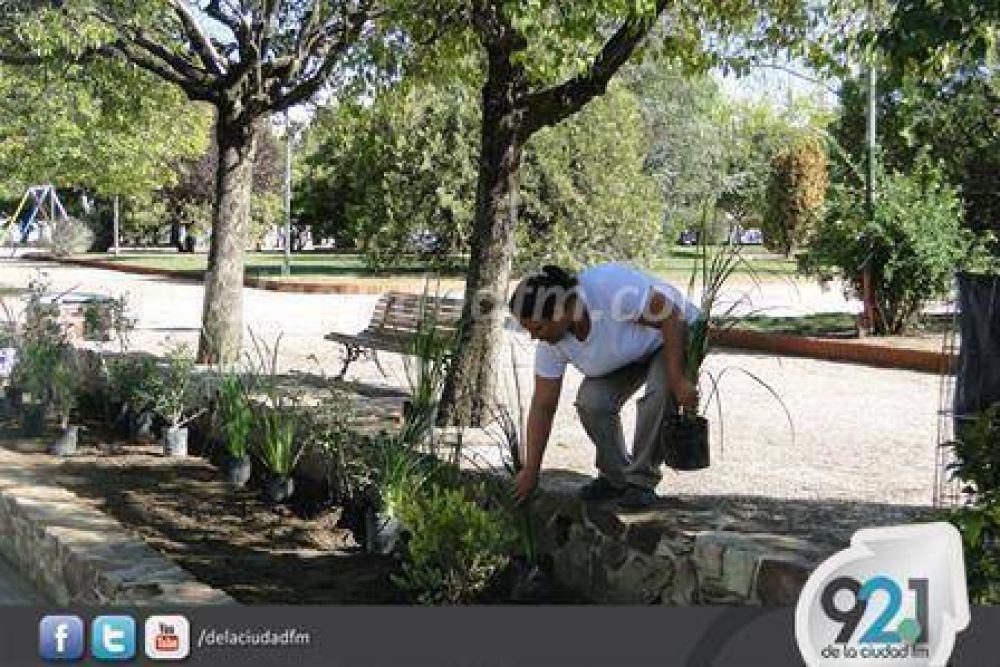 Trabajadores de las cooperativas plantaron nuevas especies en la Plaza San Mart�n