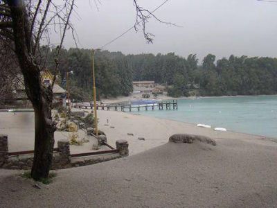 Aseguran que la erupci�n volc�nica afect� especies nativas, pero no el agua