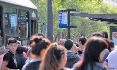 Transporte: municipio anticipa algunos d�as m�s con inconvenientes