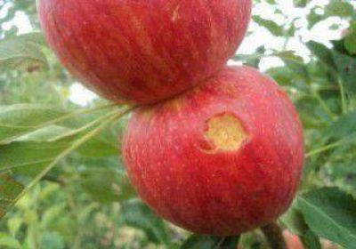 �A un a�o de la tormenta�los productores esperan que el Gobierno cumpla con su promesa�