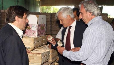 El Gobierno realiz� controles en empacadoras de ajo