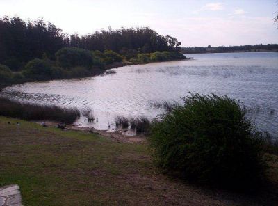 Se suspende la pesca de todo tipo en la Laguna de los Padres por diez d�as 
