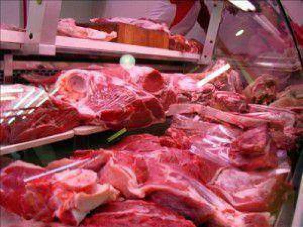 Entre enero y febrero se decomisaron en Salta ms de 1200 kilos de carne