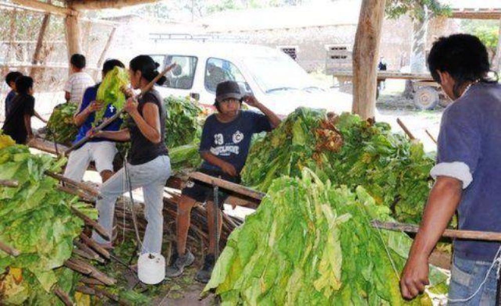 G�emes: rescataron a ni�os y adultos explotados y en condiciones infrahumanas
