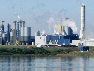 La Justicia de Gualeguaych� analiza si es competente para actuar por la contaminaci�n de UPM