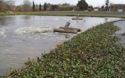 Denuncian que �OVOPROT ataca la calidad de vida� de los vecinos de la f�brica
