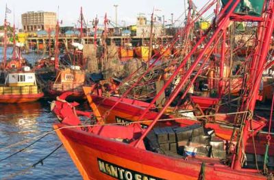 Boston, destino de empresarios pesqueros de Mar del Plata para conquistar clientes