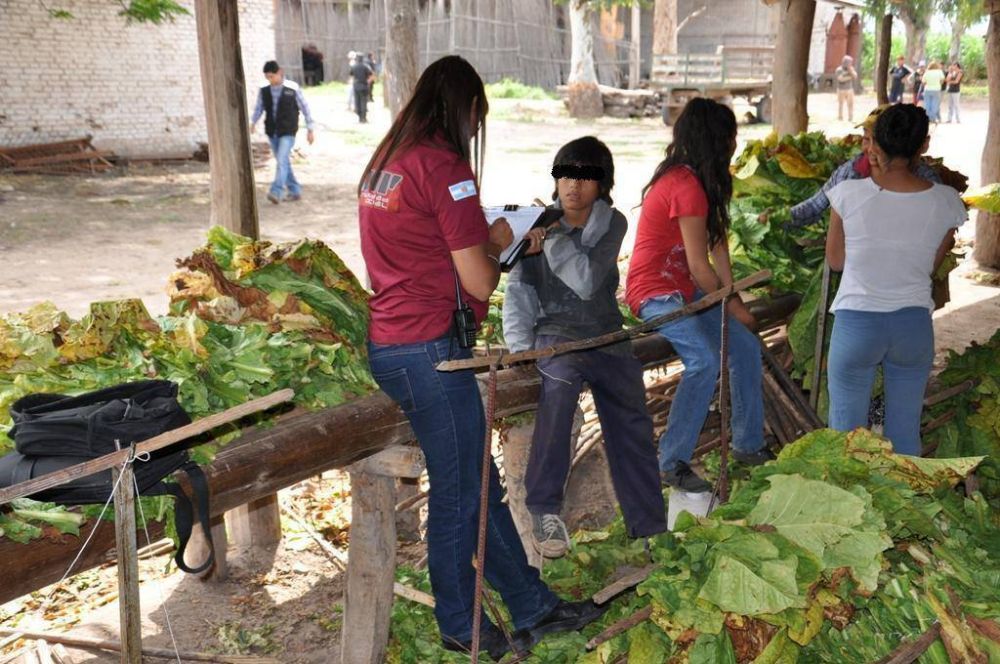 AFIP rescat� a nueve ni�os explotados en Salta y hay dos detenidos