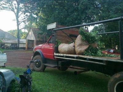 Incautaron m�s de cien kilos de yerba robada en Campo Ram�n