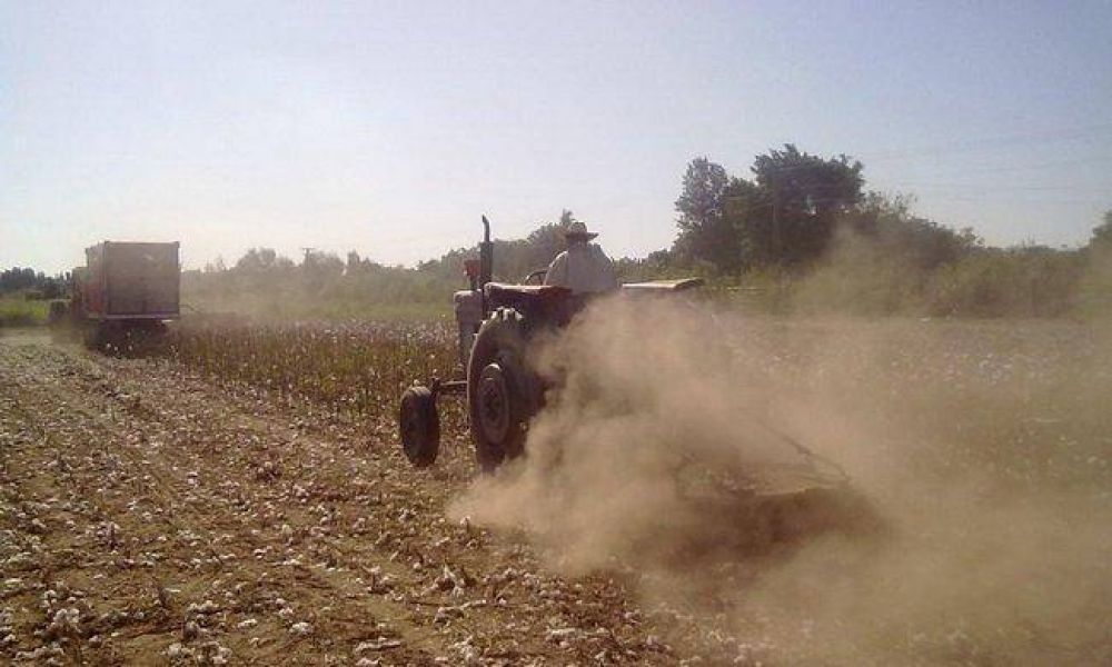 Minetti: "termino el monocultivo en la provincia, hoy el productor realiza varios cultivos"