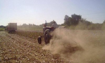 Minetti: "termino el monocultivo en la provincia, hoy el productor realiza varios cultivos"