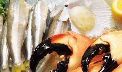 Empresas marplatenses de pescado viajan a feria internacional en Estados Unidos