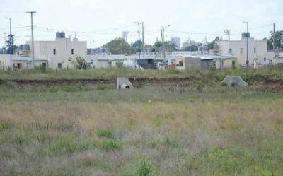 Detectaron un parcelamiento ilegal en el Barrio Las Heras
