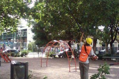 Podan �rboles para evitar zonas oscuras de noche