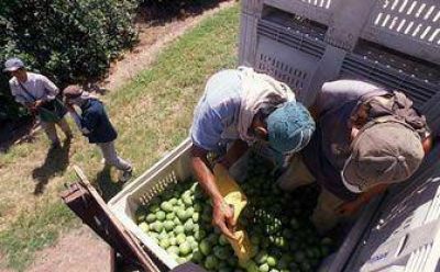 UATRE: Piden planes para 35 mil trabajadores