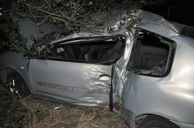  Una mujer result� ilesa tras chocar contra un �rbol