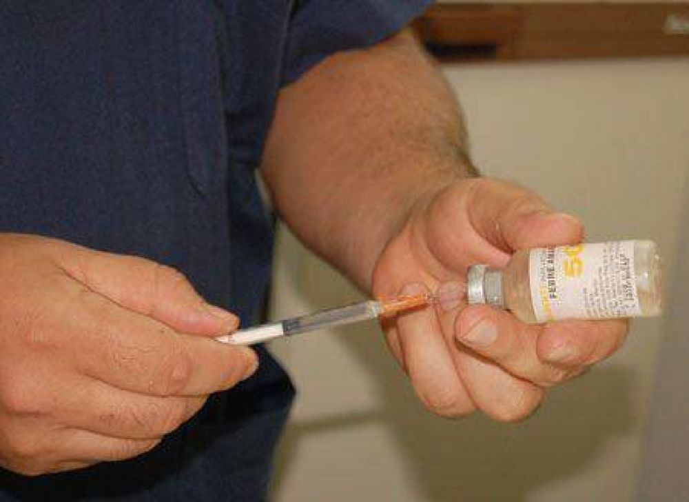 Estiman aplicar unas 150 mil dosis en la campaa de vacunacin antigripal