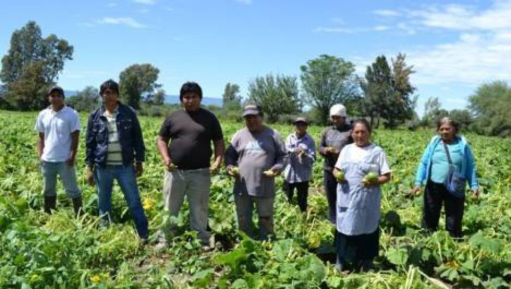 Familias de productores reportaron p�rdidas totales de sus cosechas