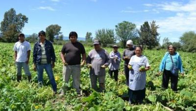 Familias de productores reportaron p�rdidas totales de sus cosechas